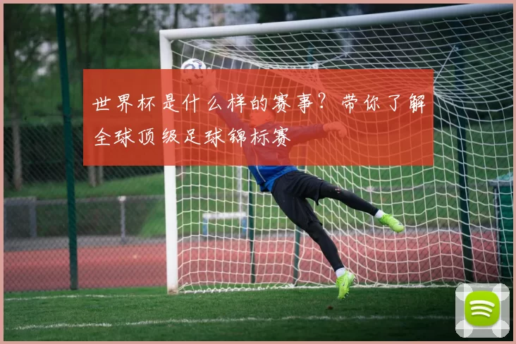 世界杯是什么样的赛事？带你了解全球顶级足球锦标赛