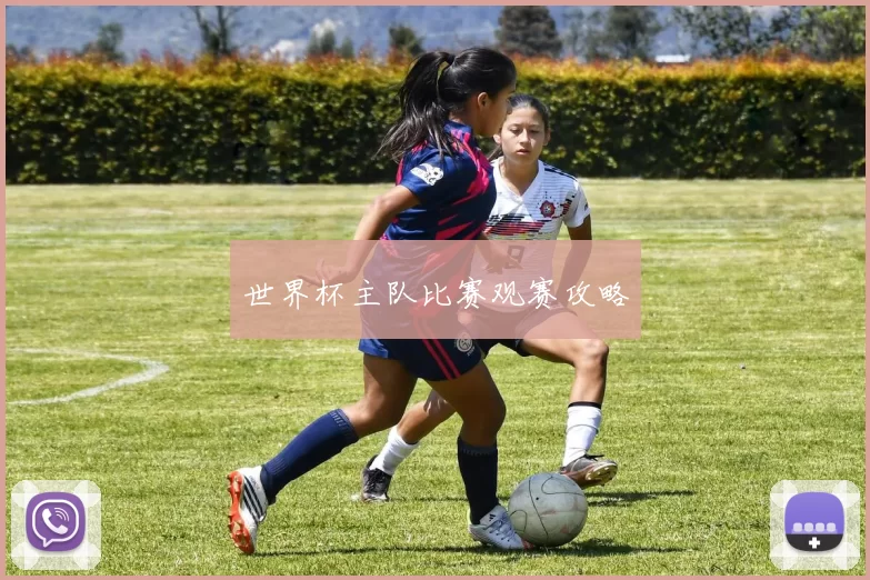 世界杯主队比赛观赛攻略