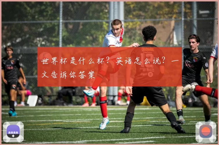 世界杯是什么杯？英语怎么说？一文告诉你答案