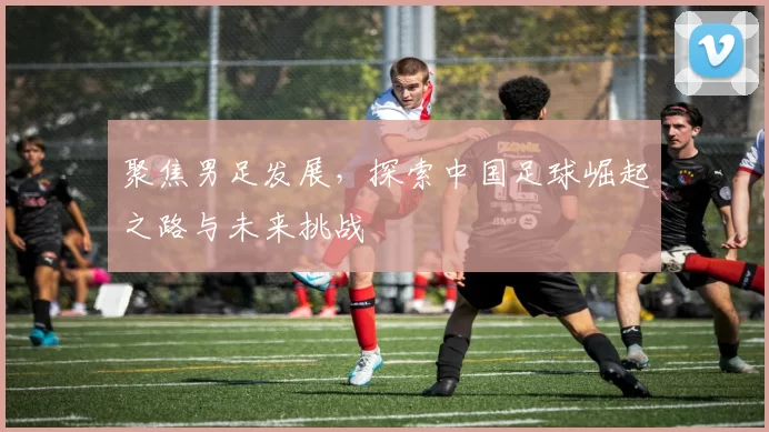 聚焦男足发展，探索中国足球崛起之路与未来挑战