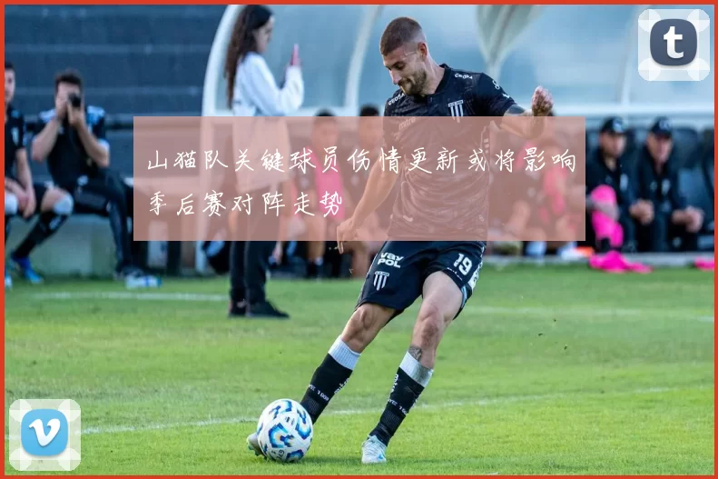 山猫队关键球员伤情更新或将影响季后赛对阵走势