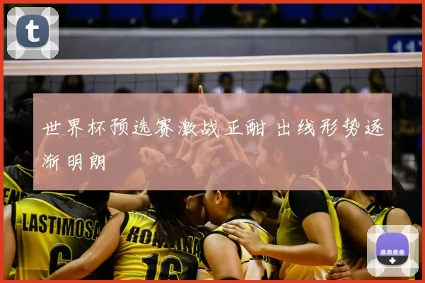 世界杯预选赛激战正酣 出线形势逐渐明朗