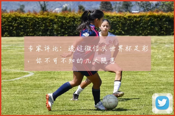 专家评论:透过微信买世界杯足彩,你不可不知的几大隐患