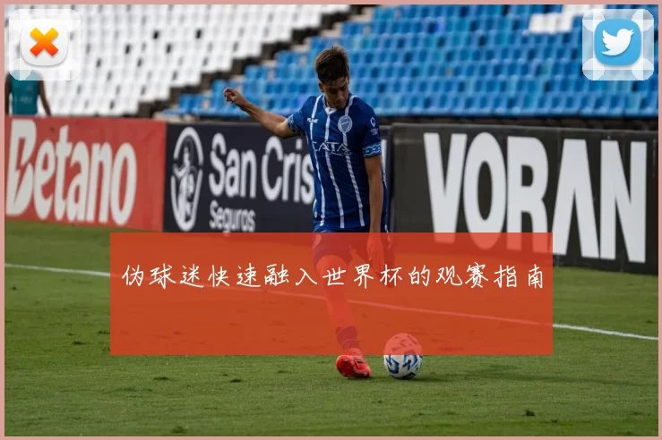 伪球迷快速融入世界杯的观赛指南