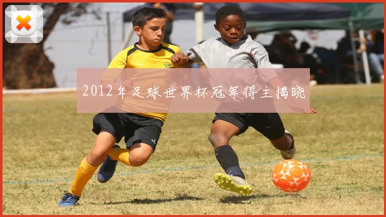 2012年足球世界杯冠军得主揭晓